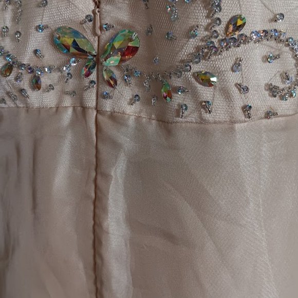 NWT Cinderella Vanilla colour Embellished Beaded long gown size XL - Picture 11 of 13